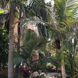 Constantaras Apartment